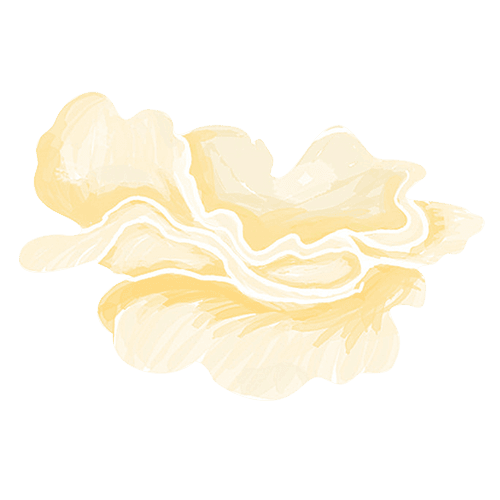 ประโยชน์เห็ดหิมะต่อผิวจากประเทศจีน ราชาแห่งคอลลาเจน 4 7