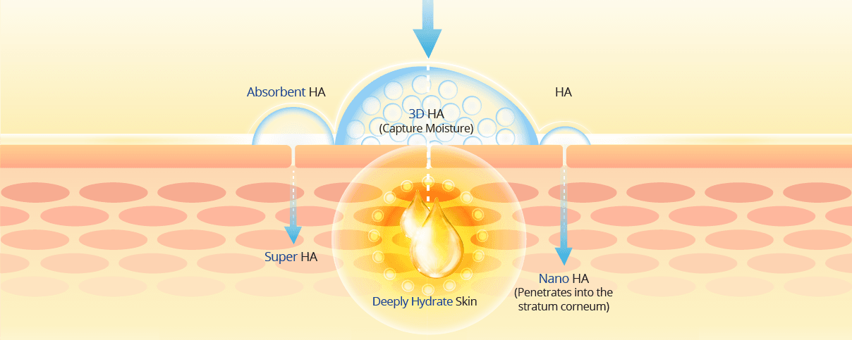 ไขทุกคำถามไฮยารูลอน หรือ ไฮยาลูรอนิค มีประโยชน์ต่อผิวอย่างไร? 3 benefit of hyaluron hydrating diagram