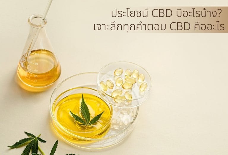 Read more about the article ประโยชน์ CBD มีอะไรบ้าง? เจาะลึกประโยชน์กัญชาสุขภาพและการนวดด้วย CBD