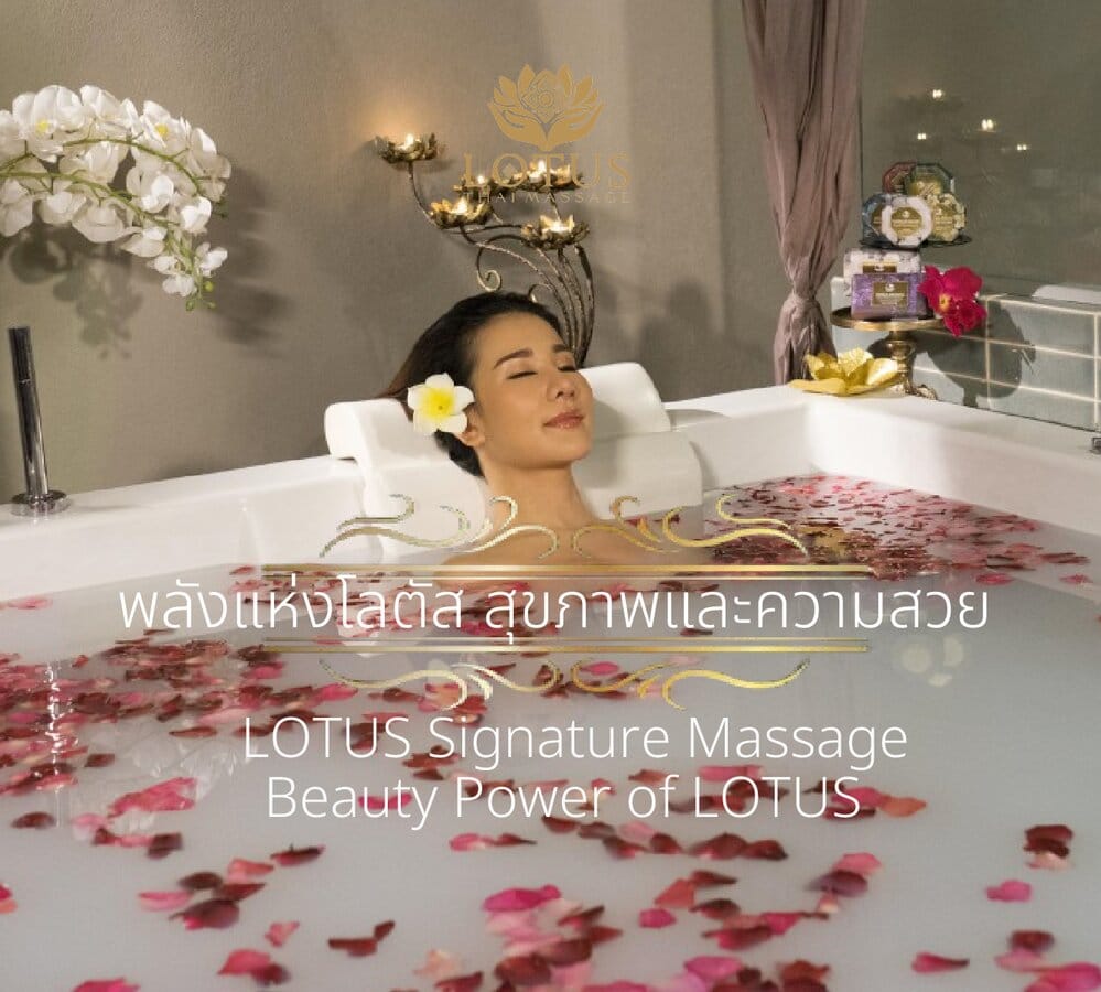 สมัครเป็น VIP MEMBER กับ LOTUS รับสิทธิ์ประโยนช์ กว่า 10 รายการ 8 8.best_signature-massage-jacuzzi-แช่อ่างจากุชชี่-แช่ออนเซ็น
